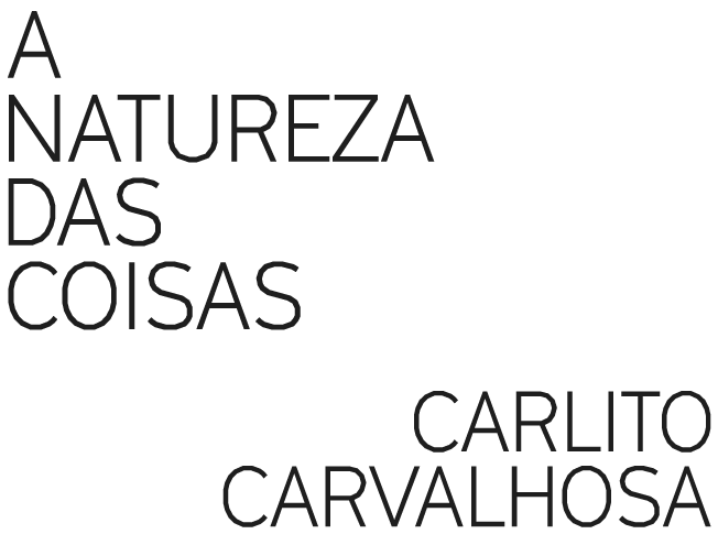 Em finas letras pretas: “A natureza das coisas”, no lado superior esquerdo, e “Carlito Carvalhosa”, no lado inferior direito