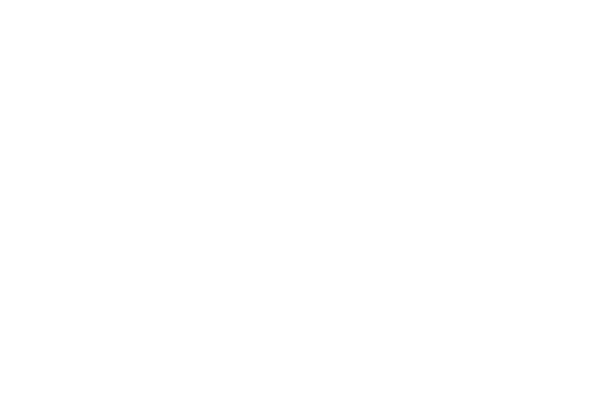 Imbuidos das forças das flores do japão - Mestres da carpintaria: Habilidade e espírito